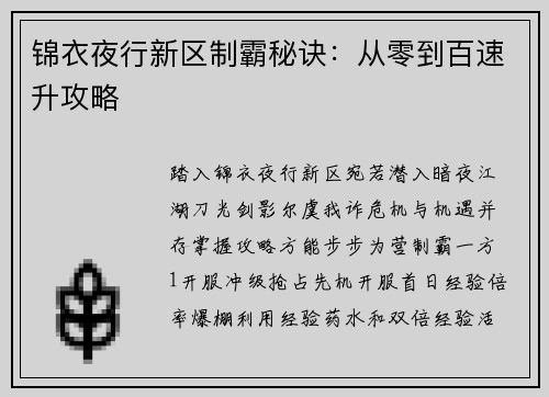 锦衣夜行新区制霸秘诀：从零到百速升攻略